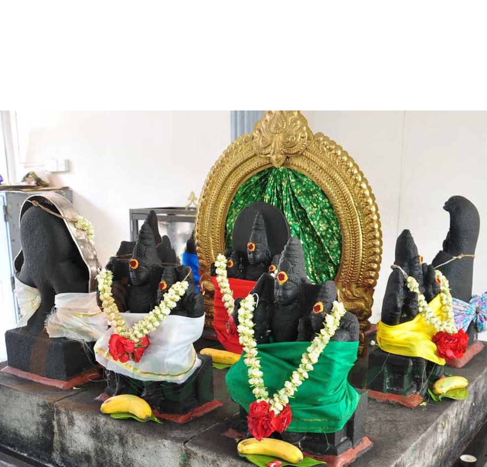 navgrah puja